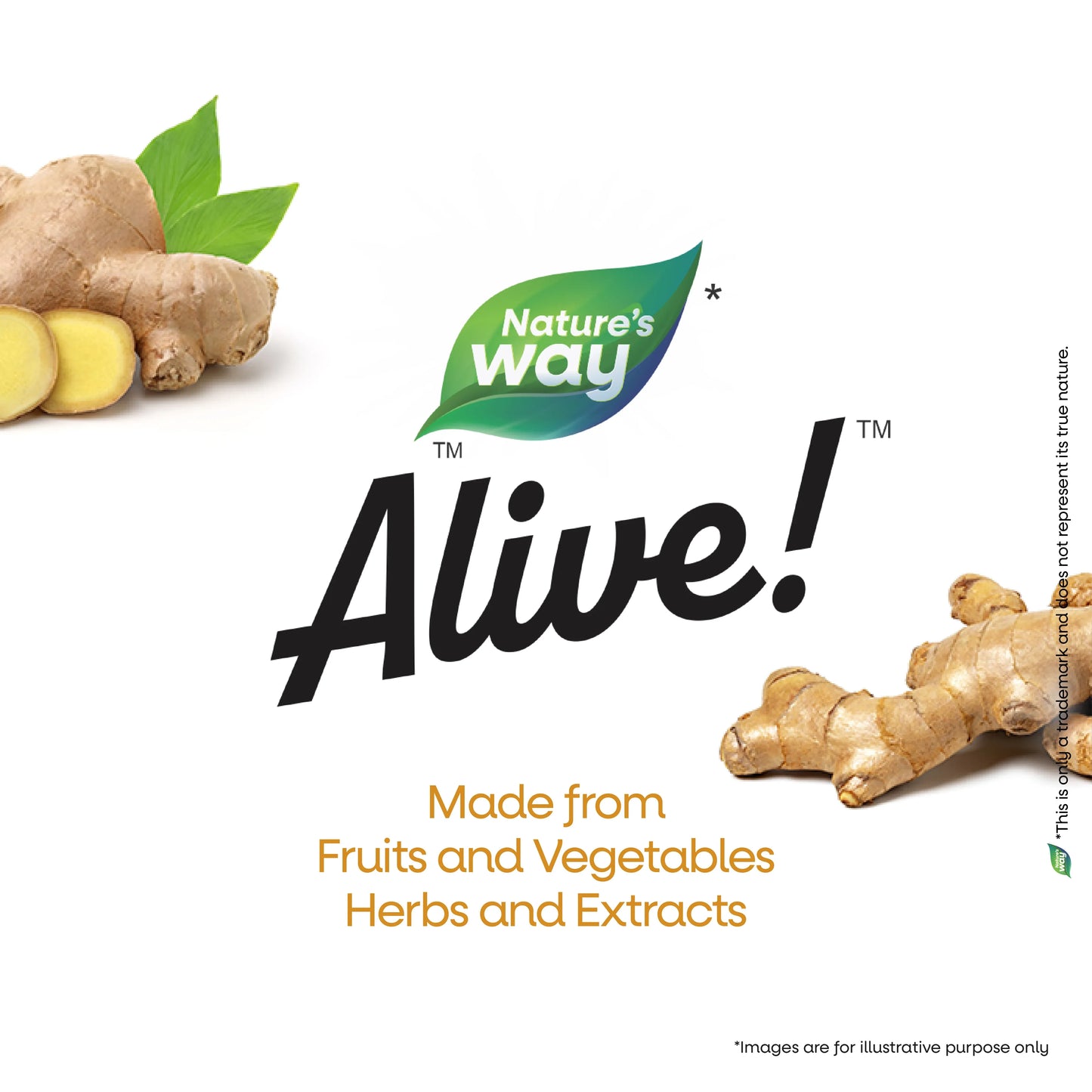 Nature's Way Alive Kids Tummy Soothe Chewable tablet