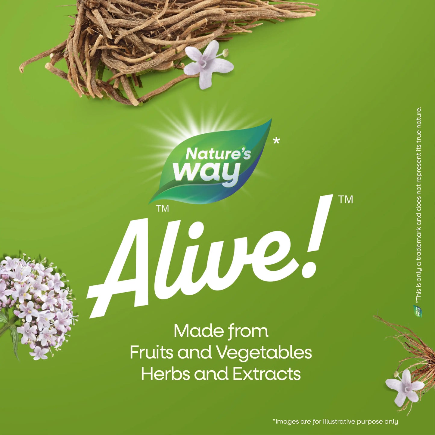 Nature’s Way Alive Complete Liver Cleanse