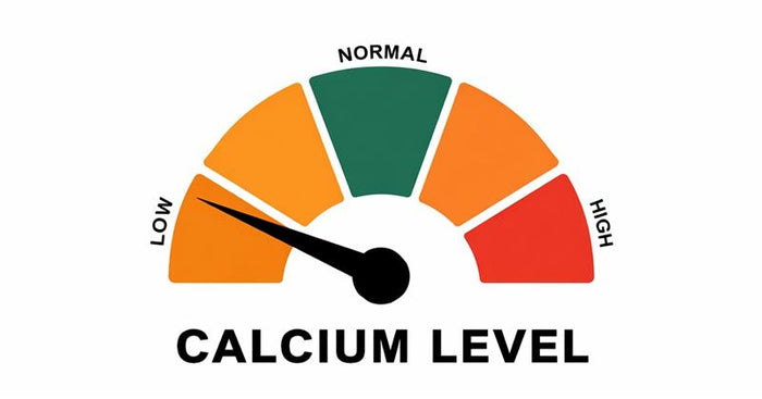 Calcium Deficiency Symptoms and How to Fix Them