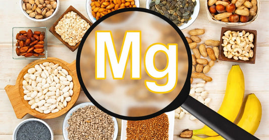 Magnesium Rich Foods: How to Increase Magnesium Absorption from Food