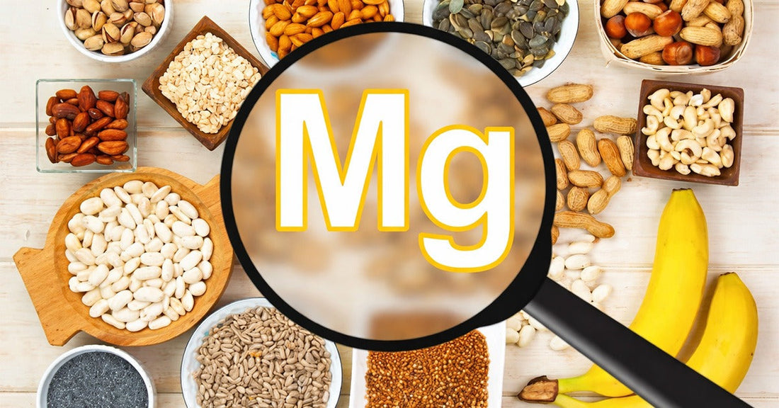 Magnesium Rich Foods: How to Increase Magnesium Absorption from Food