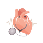 Natural supplement for heart health support