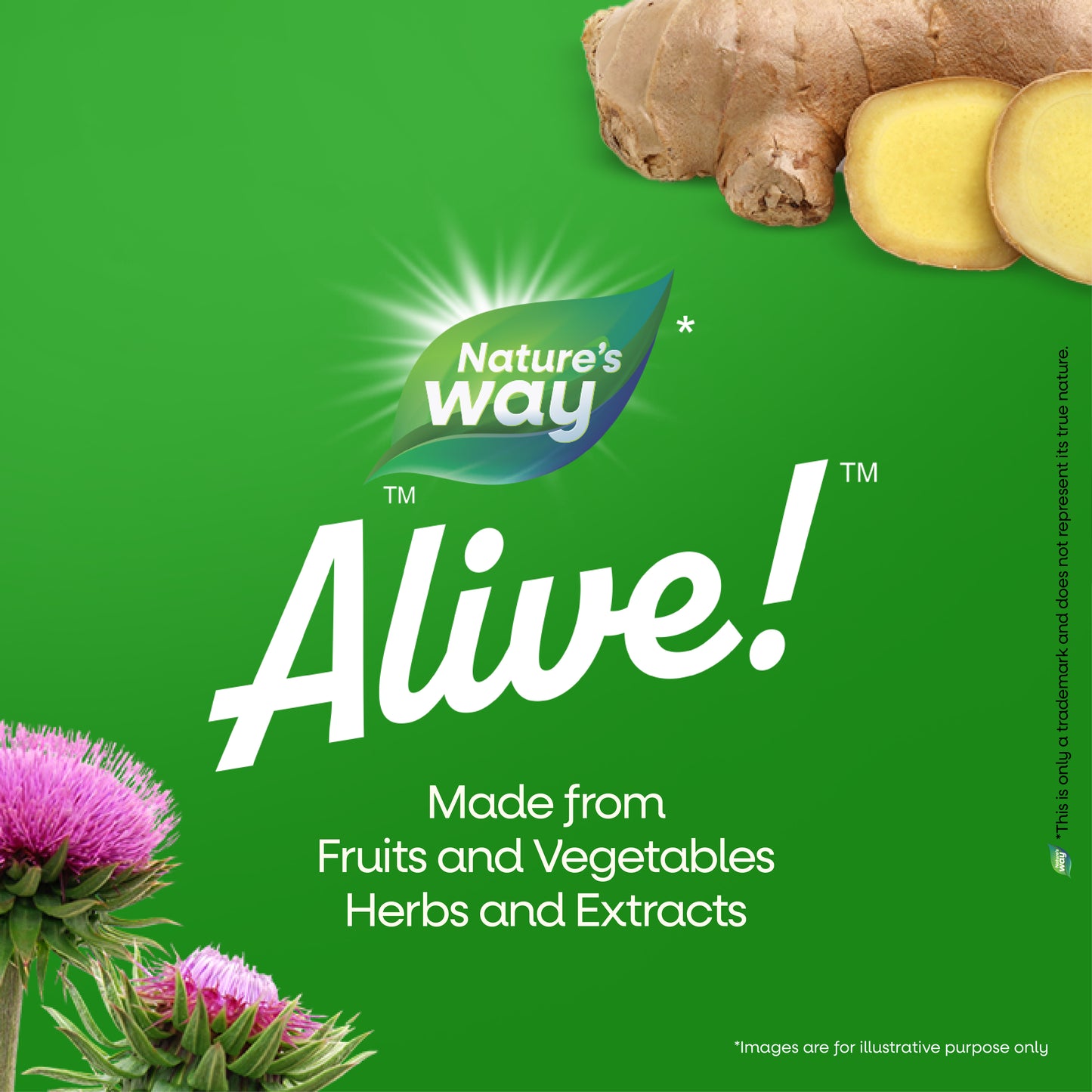 Nature’s Way Alive Complete Liver Cleanse