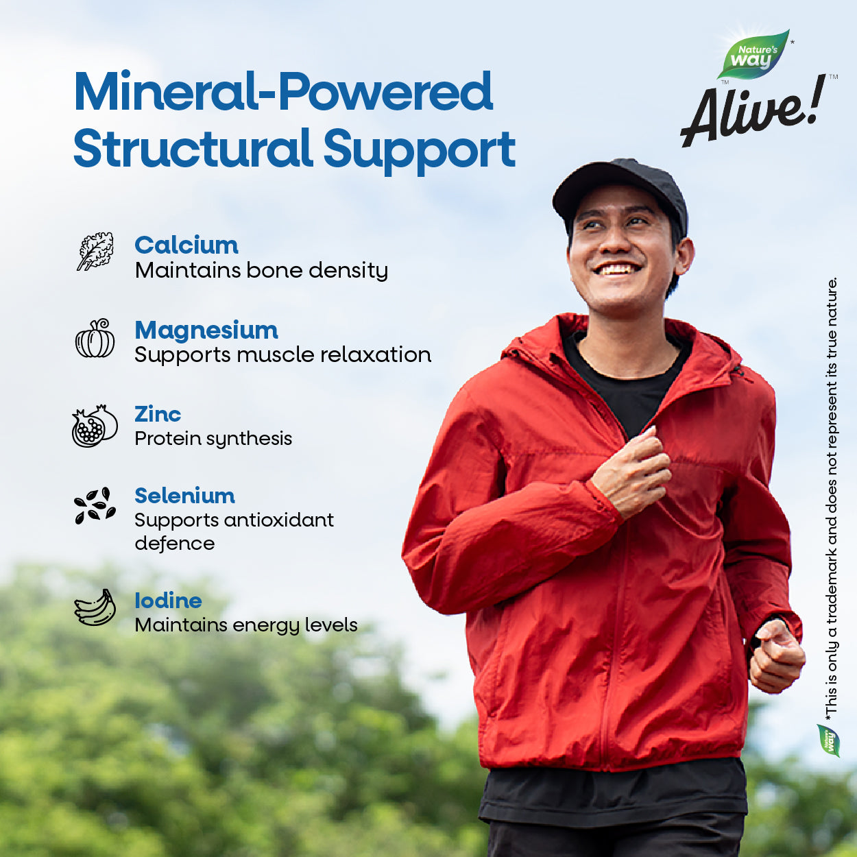 Nature's Way Alive Men’s Ultra MultiVitamin