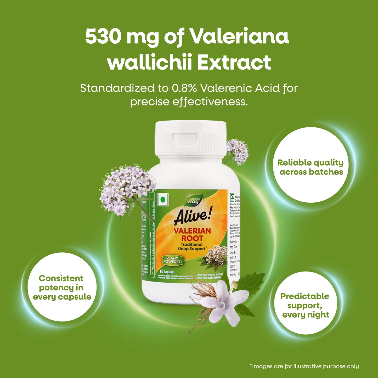 Nature’s Way Alive Valerian Root
